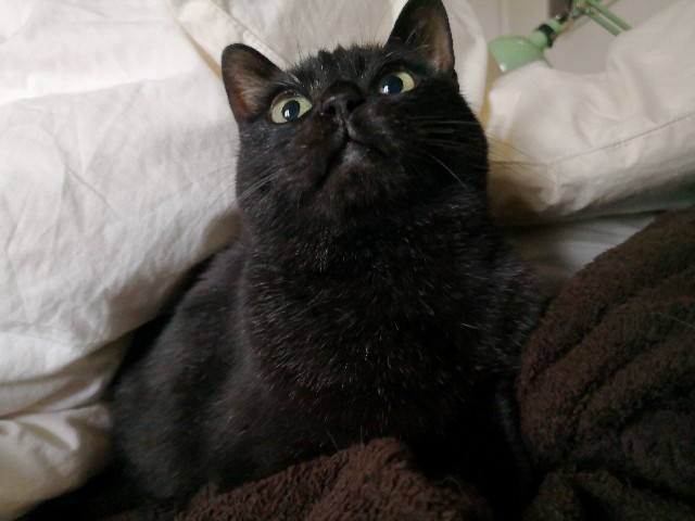 f:id:hiraryo0201:20180629065123j:image f:id:hiraryo0201:20180629065123j:image