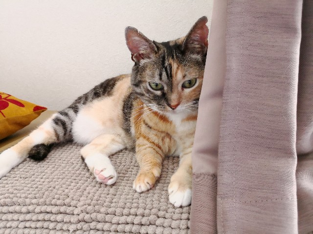 f:id:hiraryo0201:20180630095930j:image