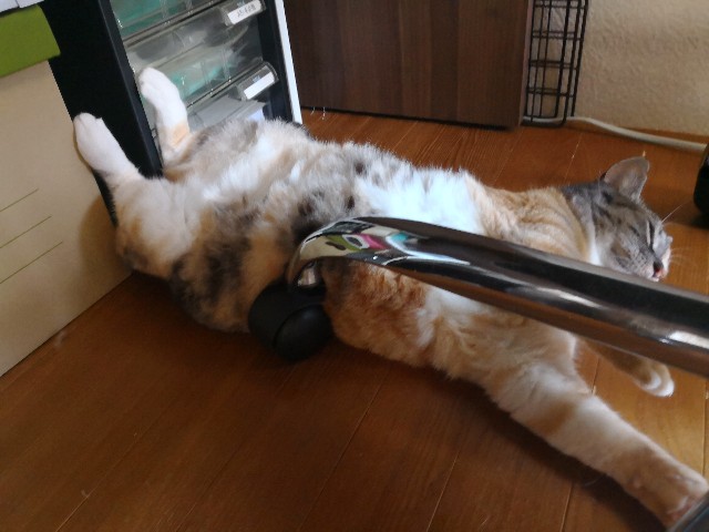 f:id:hiraryo0201:20180703173021j:image f:id:hiraryo0201:20180703173021j:image