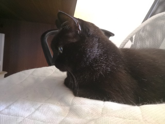 f:id:hiraryo0201:20180703173135j:image f:id:hiraryo0201:20180703173135j:image