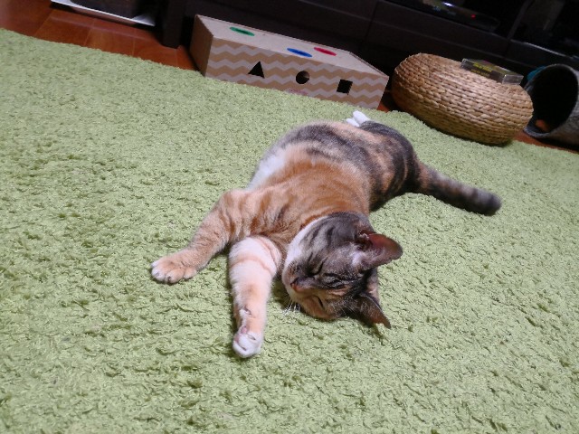 f:id:hiraryo0201:20180708102302j:image
