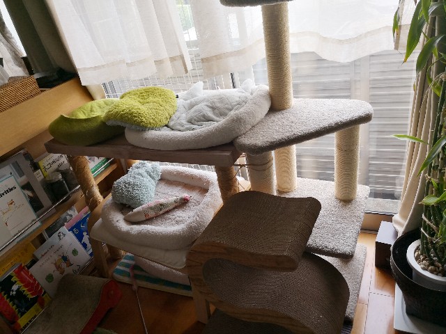 f:id:hiraryo0201:20180708181943j:image