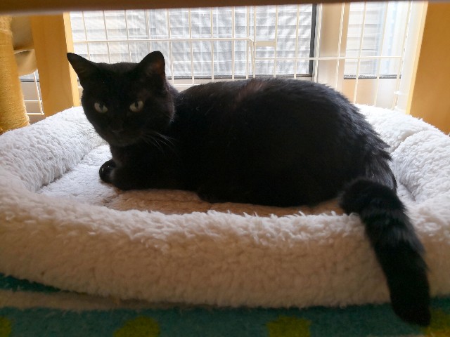 f:id:hiraryo0201:20180708182005j:image