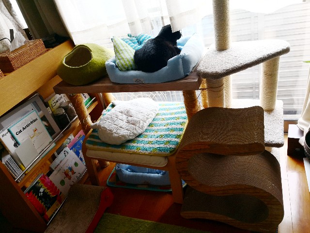 f:id:hiraryo0201:20180708182026j:image