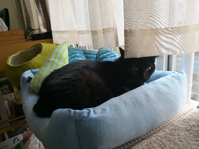 f:id:hiraryo0201:20180708182044j:image