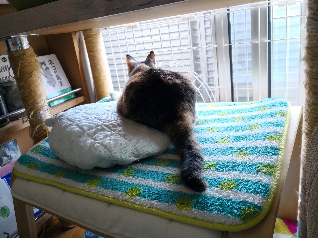 f:id:hiraryo0201:20180709152122j:plain