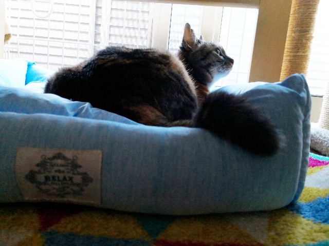 f:id:hiraryo0201:20180709162107j:image