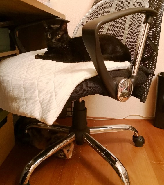 f:id:hiraryo0201:20180710112538j:image f:id:hiraryo0201:20180710112538j:image