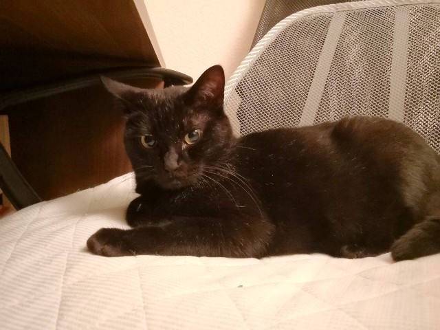 f:id:hiraryo0201:20180710112553j:plain f:id:hiraryo0201:20180710112553j:plain