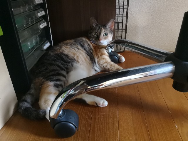 f:id:hiraryo0201:20180710112957j:plain f:id:hiraryo0201:20180710112957j:plain