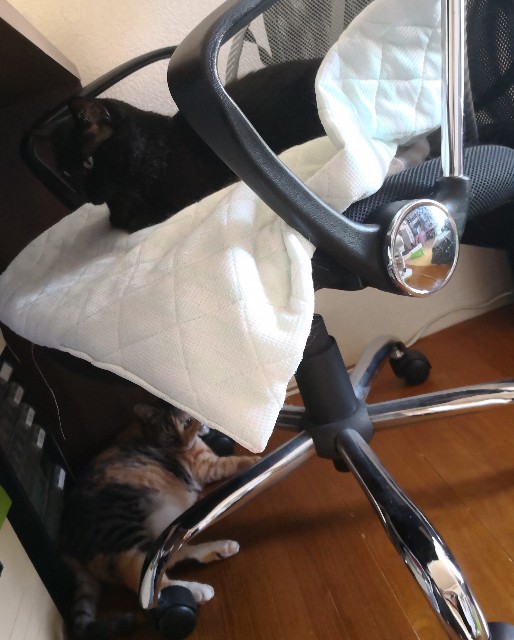 f:id:hiraryo0201:20180710113024j:plain f:id:hiraryo0201:20180710113024j:plain