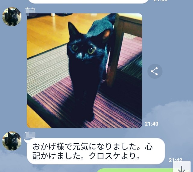f:id:hiraryo0201:20180714183901j:image f:id:hiraryo0201:20180714183901j:image