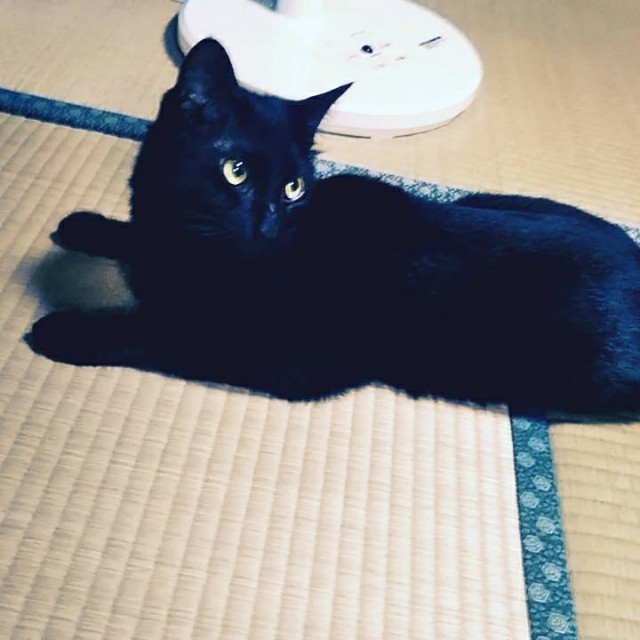 f:id:hiraryo0201:20180714183948j:image f:id:hiraryo0201:20180714183948j:image