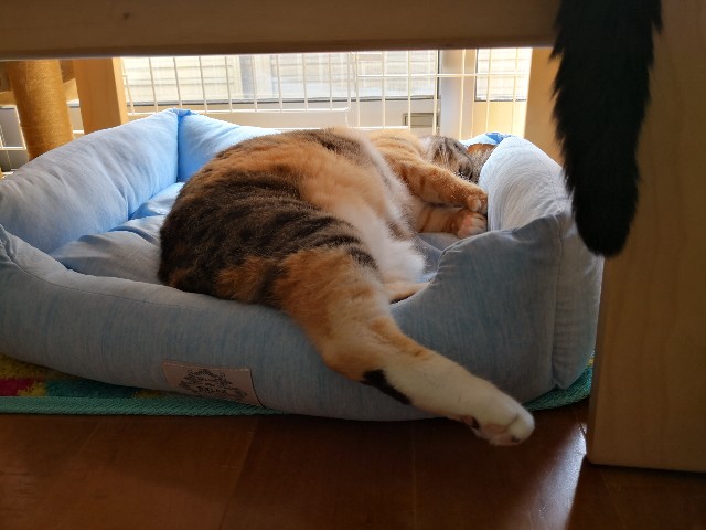 f:id:hiraryo0201:20180714194325j:image f:id:hiraryo0201:20180714194325j:image
