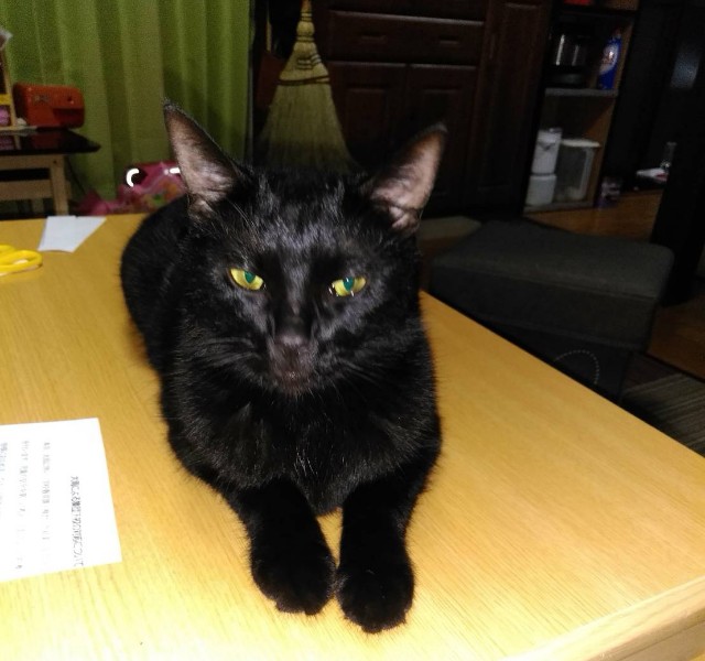 f:id:hiraryo0201:20180715081446j:image f:id:hiraryo0201:20180715081446j:image