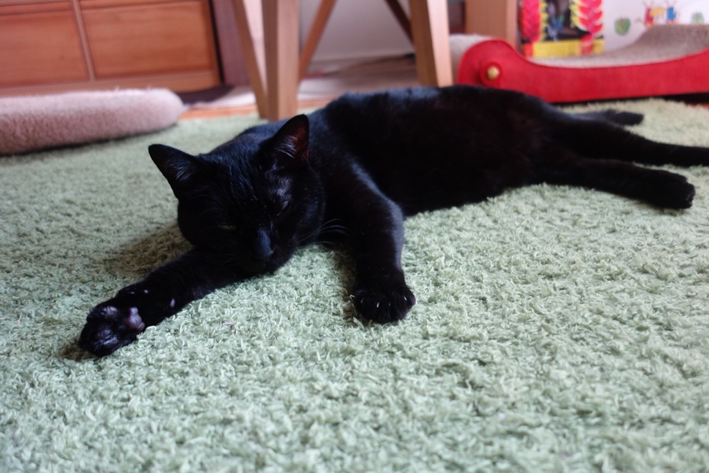 f:id:hiraryo0201:20180716161438j:plain f:id:hiraryo0201:20180716161438j:plain