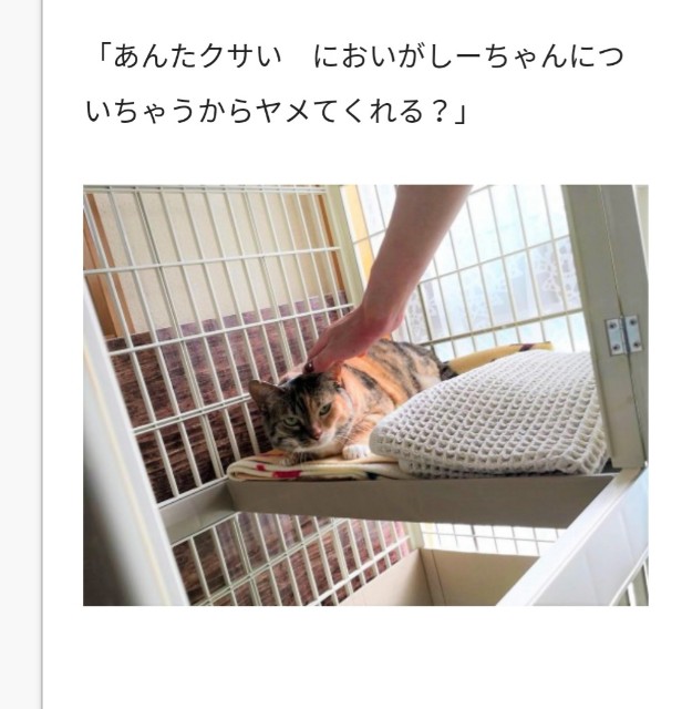 f:id:hiraryo0201:20180717191524j:image f:id:hiraryo0201:20180717191524j:image