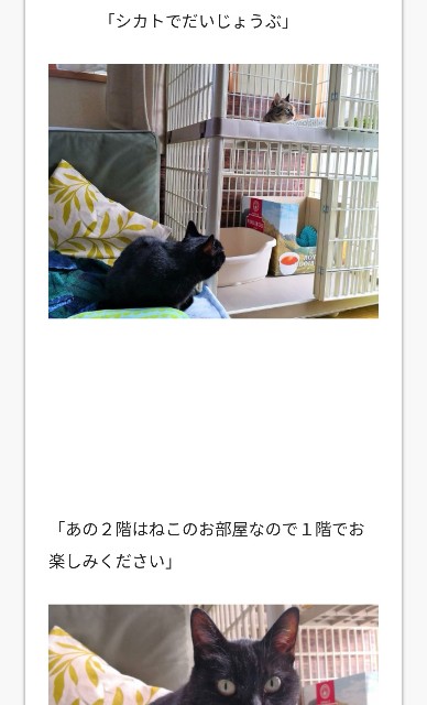 f:id:hiraryo0201:20180717195937j:image f:id:hiraryo0201:20180717195937j:image