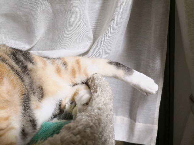 f:id:hiraryo0201:20180722072453j:plain f:id:hiraryo0201:20180722072453j:plain