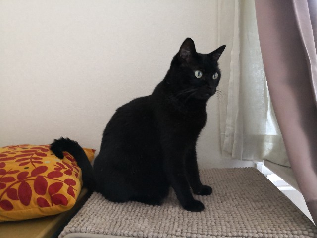 f:id:hiraryo0201:20180722072635j:image f:id:hiraryo0201:20180722072635j:image