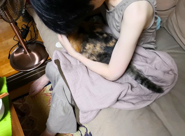 f:id:hiraryo0201:20180729153133j:image