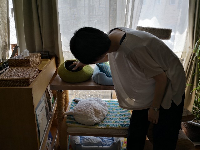 f:id:hiraryo0201:20180729154446j:image