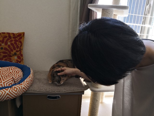 f:id:hiraryo0201:20180729154504j:image