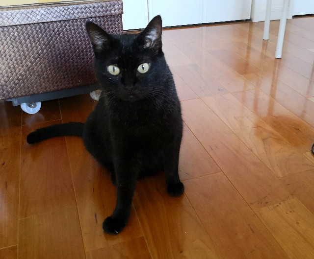 f:id:hiraryo0201:20180812110709j:image