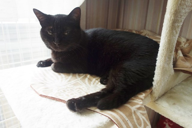 f:id:hiraryo0201:20180812122504j:plain f:id:hiraryo0201:20180812122504j:plain