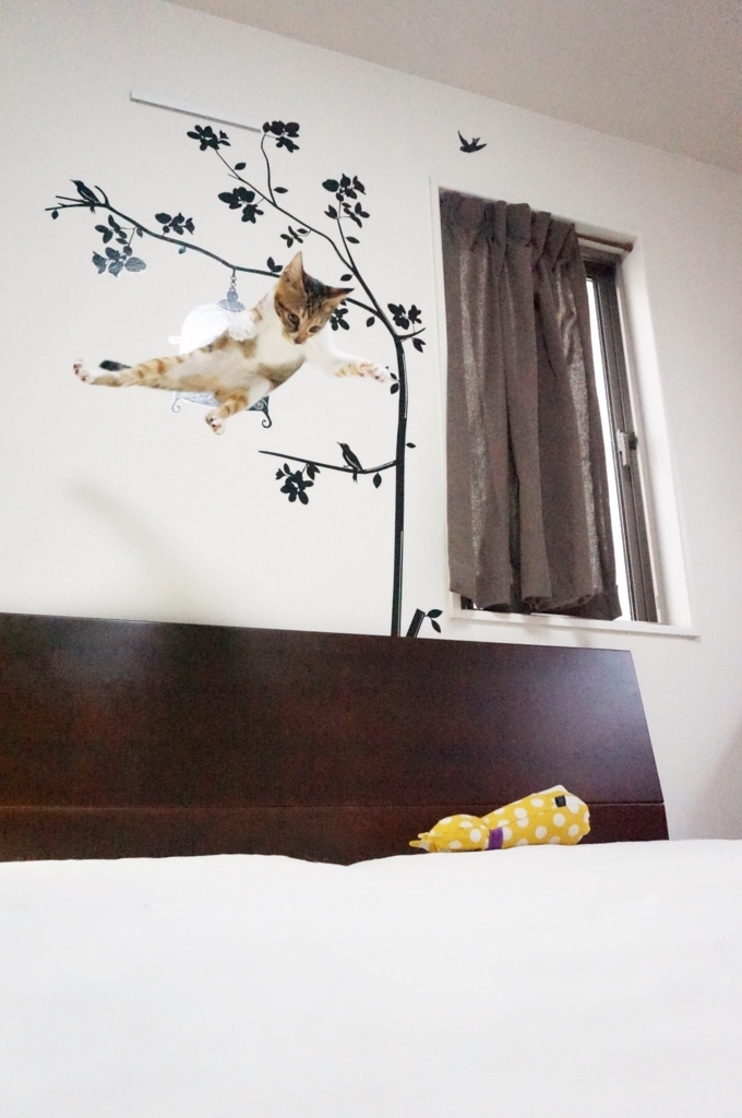 f:id:hiraryo0201:20180812161432j:plain f:id:hiraryo0201:20180812161432j:plain