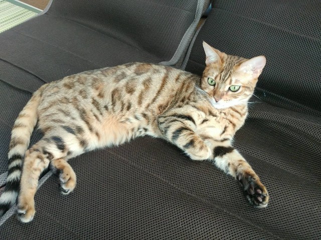 f:id:hiraryo0201:20180819082027j:image f:id:hiraryo0201:20180819082027j:image