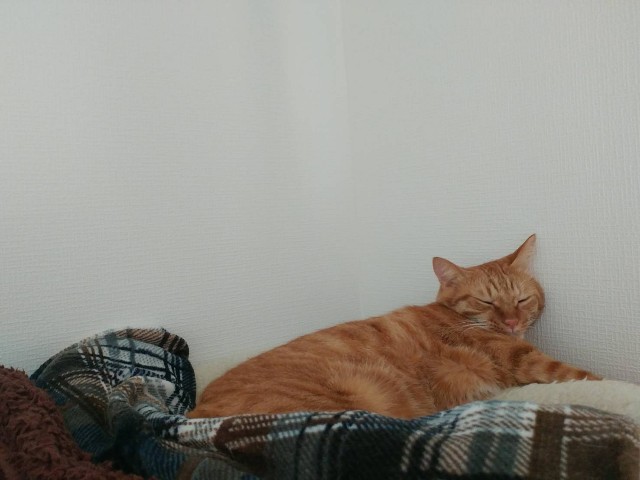 f:id:hiraryo0201:20180819082046j:image f:id:hiraryo0201:20180819082046j:image