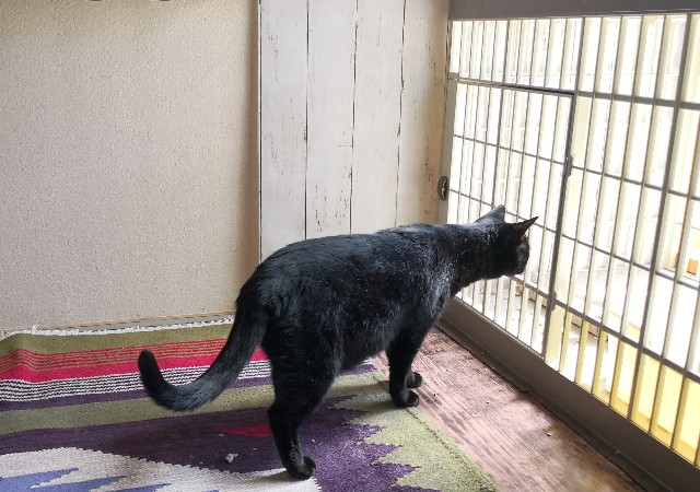 f:id:hiraryo0201:20180826074657j:image