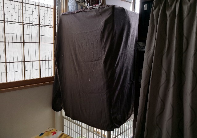 f:id:hiraryo0201:20180902135952j:image f:id:hiraryo0201:20180902135952j:image