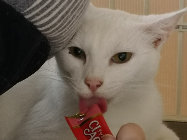 f:id:hiraryo0201:20180909094145j:image