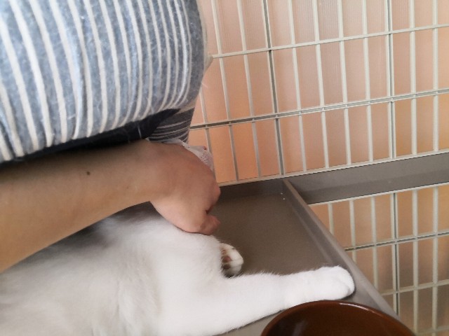 f:id:hiraryo0201:20180909094442j:plain