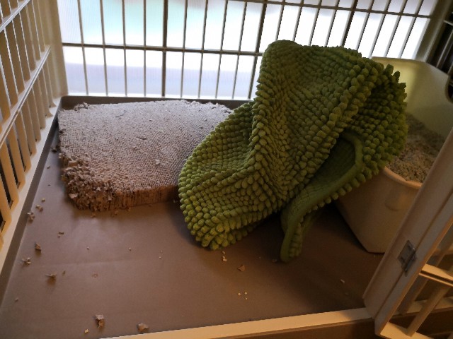 f:id:hiraryo0201:20180915072602j:image