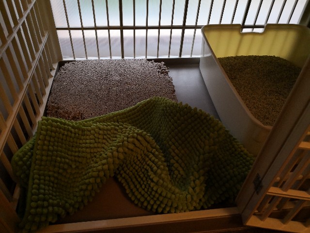 f:id:hiraryo0201:20180915072654j:image