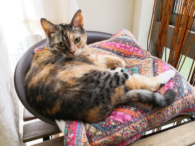 f:id:hiraryo0201:20180916105748j:image f:id:hiraryo0201:20180916105748j:image