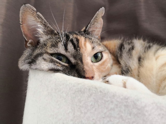 f:id:hiraryo0201:20180916105843j:image f:id:hiraryo0201:20180916105843j:image