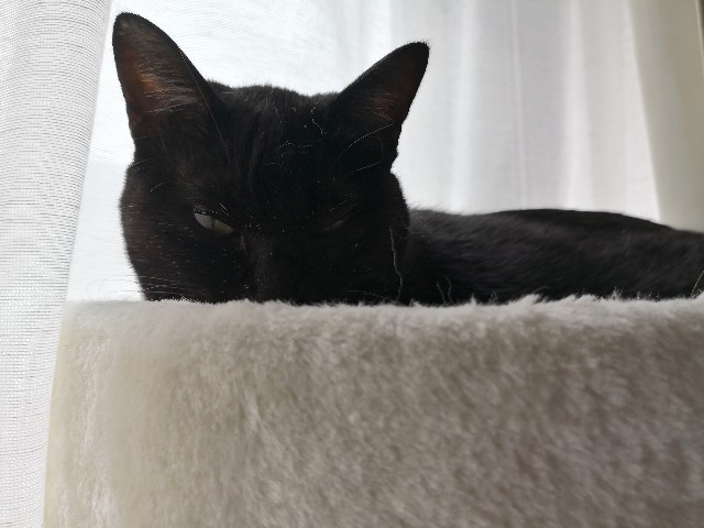 f:id:hiraryo0201:20180916105925j:image f:id:hiraryo0201:20180916105925j:image