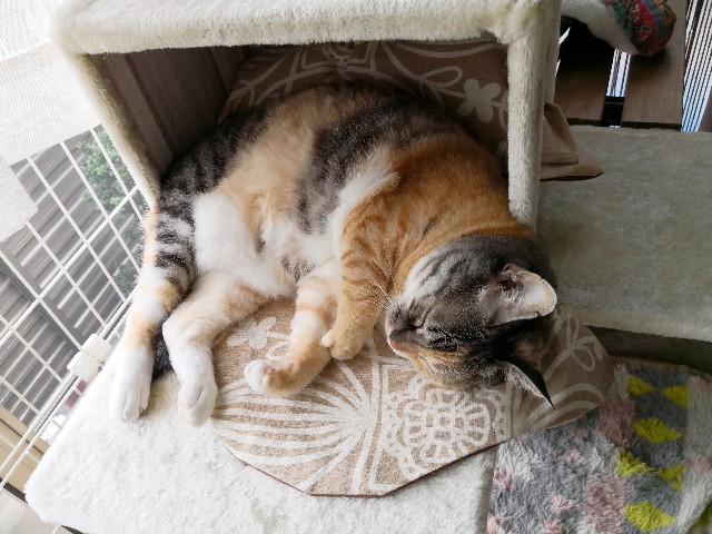 f:id:hiraryo0201:20180916111356j:image f:id:hiraryo0201:20180916111356j:image