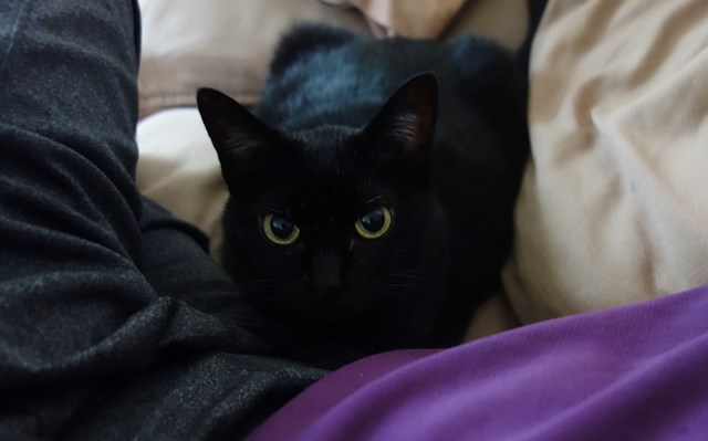 f:id:hiraryo0201:20180917092339j:plain