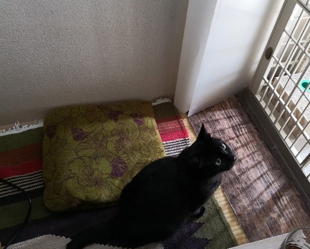 f:id:hiraryo0201:20180917151017j:image