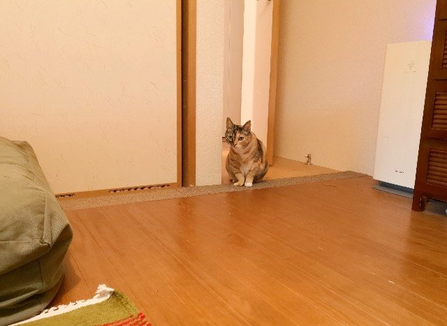 f:id:hiraryo0201:20180917181640j:plain