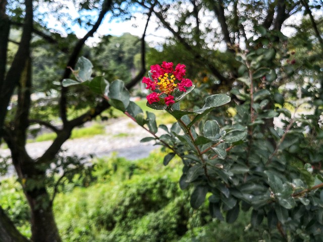 f:id:hiraryo0201:20180923211414j:image