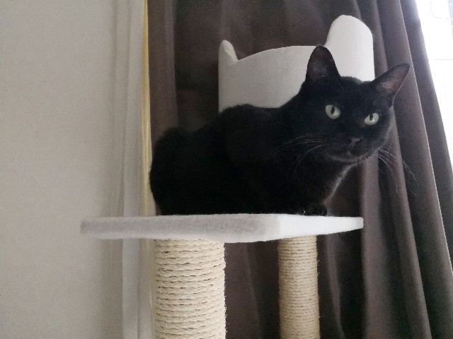 f:id:hiraryo0201:20180927224329j:image f:id:hiraryo0201:20180927224329j:image