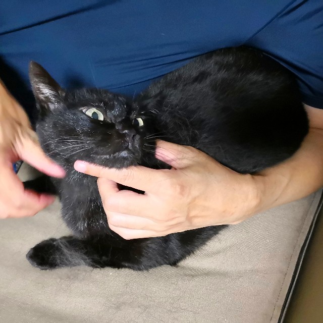 f:id:hiraryo0201:20180927224404j:image f:id:hiraryo0201:20180927224404j:image