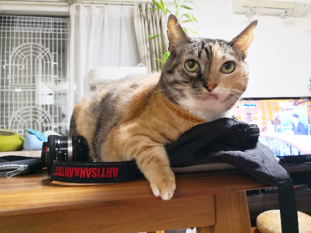 f:id:hiraryo0201:20180927224417j:image f:id:hiraryo0201:20180927224417j:image