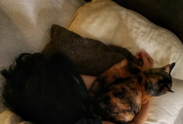 f:id:hiraryo0201:20180929074341j:image